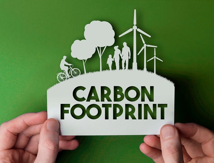 4 Simple Ways to Reduce Your Carbon Footprint